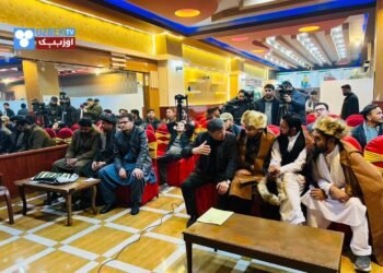 اۉزبېکستان اېلچیسی: نوایی و بابر منطقه کۉپلب مملکتلری‌نینگ مشترک میراثی دیر