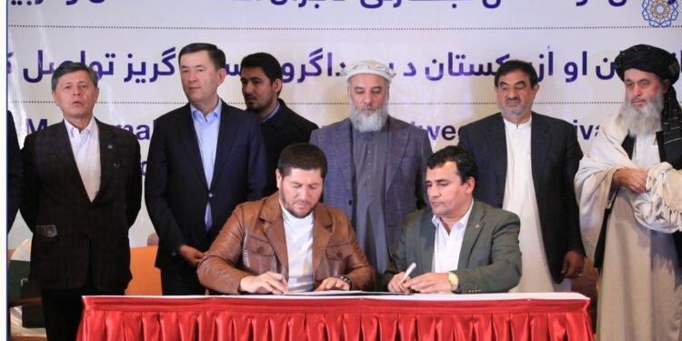 افغانستان و اۉزبېکستان تدبیرکالری اۉرته‌سیده ۳۰۰ میلیون دالر ارزش‌گه اېگه شرطنامه‌لر امضالنگن