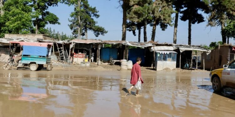 بیرلشگن ملتلر تشکیلاتی افغانستان‌ده اۉن مینگلب آدم سوو تاشقینلریدن زیان کۉرگنینی معلوم قیلدی