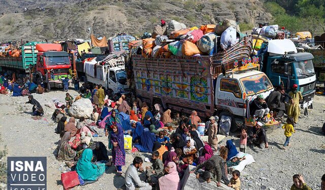 تیناوون‌ قریب 430 مهاجر عایله‌سی افغانستان‌گه قَیتیب کېلدی