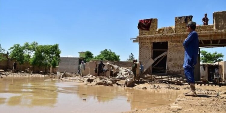 طالبلر: سۉنگگی۲۴ ساعتدهگی یاغینگرچیلیکده مملکتده۵ کیشی جان بېرگن