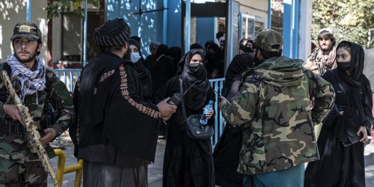 خاتین-قیزلر بیردملیک کونی؛ افغانستان عیاللری احوالی خصوصیده‌ خواطرلر بیلدیریلماقده