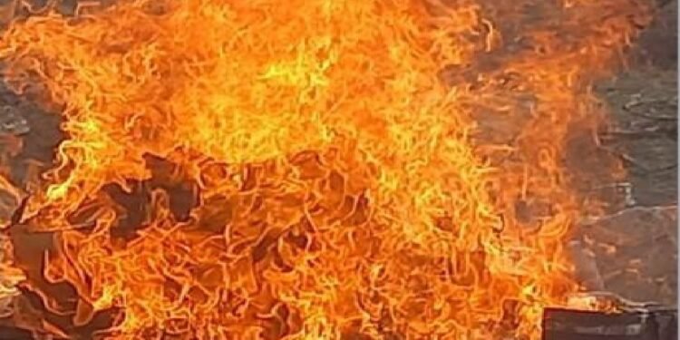 طالبان سرپلده بیر مینگ تُن دارو و آزیق-آوقت محصولاتلرینی اۉتگه یاندیردی