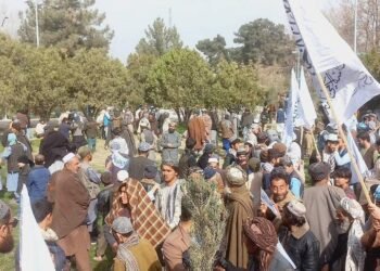 اۉزبېک قانی‌نینگ نرخی قنچه؟