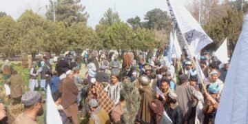 اۉزبېک قانی‌نینگ نرخی قنچه؟