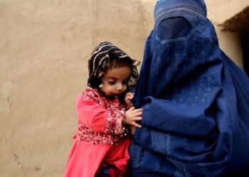 جیمللیکه قاچیش، چېگره‌نینگ نریگی تمانیده پناه