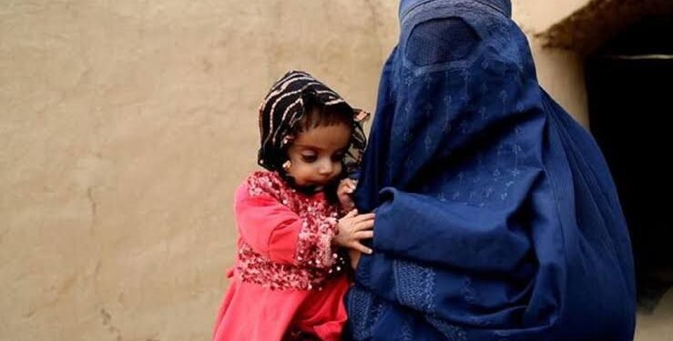 جیمللیکه قاچیش، چېگره‌نینگ نریگی تمانیده پناه