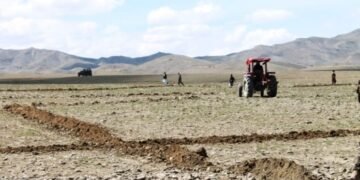 مملکت بۉیلب ۹ ولایتده مهاجرلرگه ۷ مینگ‌گه یقین نمره یېر ترقه‌تیلگن