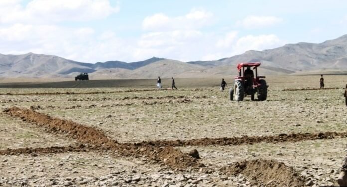 مملکت بۉیلب ۹ ولایتده مهاجرلرگه ۷ مینگ‌گه یقین نمره یېر ترقه‌تیلگن