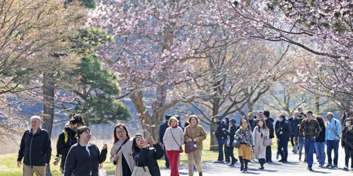 امپراتور سرای میدانی گیلاس گللش موسومی اوچون جماعتچیلیککه آچیق