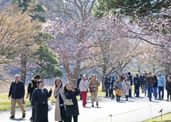 امپراتور سرای میدانی گیلاس گللش موسومی اوچون جماعتچیلیککه آچیق