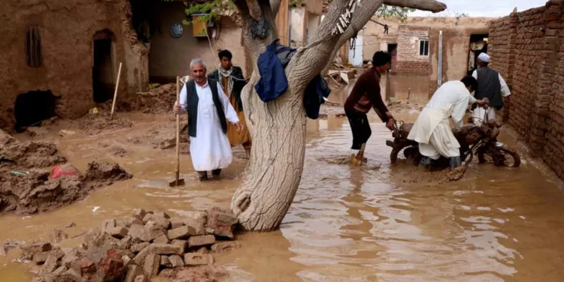 بیرلشگن ملتلر تشکیلاتی: اخیرگی سوو تاشقینلری ۱۴ مینگ‌گه یقین اهالینی ضررلنتیرگن