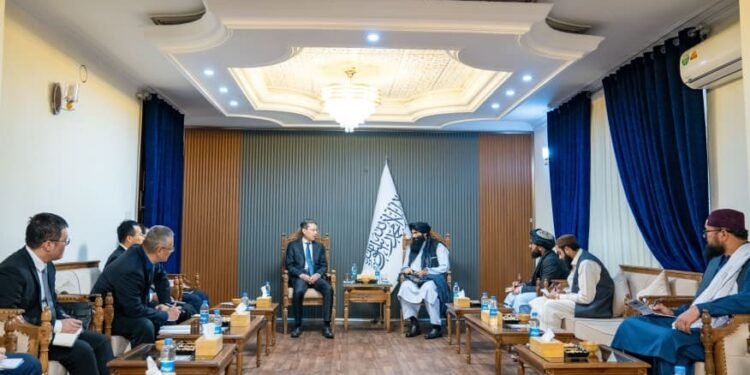 حقانی و چین اېلچیسی اوچره‌شیب ملاقات قیلدی