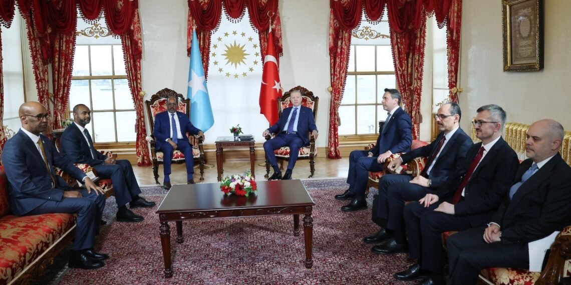 تورکیه و سومالی دولت رهبرلری اۉرته‌سیده اوچره‌شوو اۉتکزیلدی