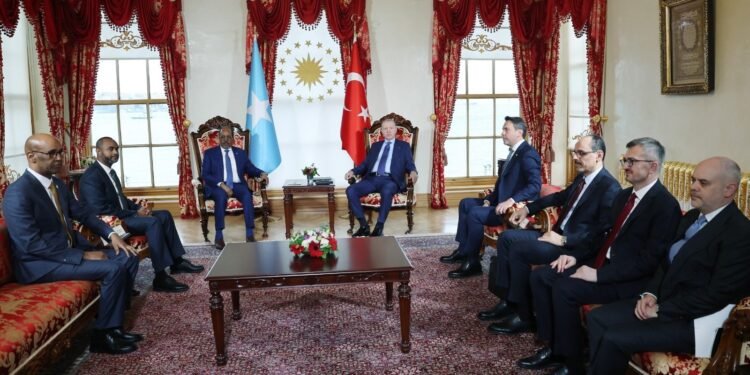 تورکیه و سومالی دولت رهبرلری اۉرته‌سیده اوچره‌شوو اۉتکزیلدی