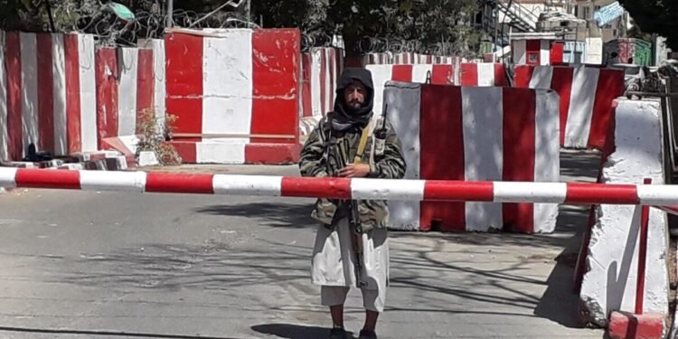 هلمند ولایتیده بیر یاش ییگیت قوراللنگن اۉغریلر تامانیدن قتل اېتیلگن