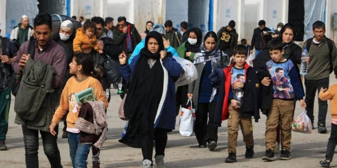 پاکستان و ایران‌دن تۉرت مینگدن آرتیق مهاجرمملکت‌گه قیتیب کېلدی