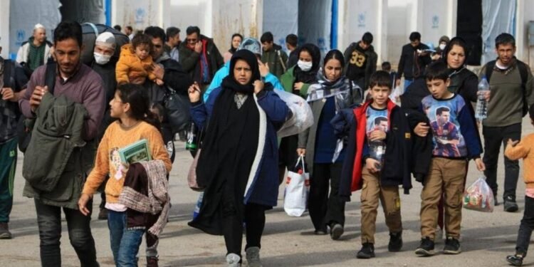 پاکستان و ایران‌دن تۉرت مینگدن آرتیق مهاجرمملکت‌گه قیتیب کېلدی