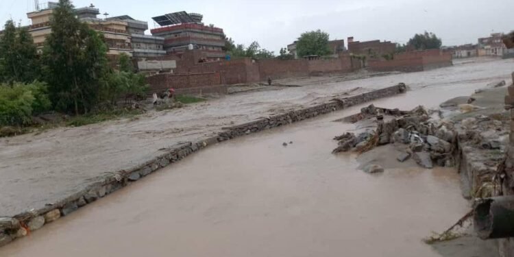 مملکت بۉیلب طبیعی حادثه طفیلی جان بېرگن‌لر سانی ۱۴۸ کیشی گه یېتدی