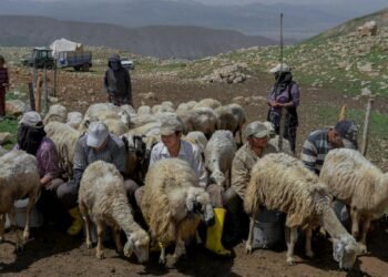 طالبان مهاجرلر وزیرلیگی تورکیه افغانستانلیک ۲۰ مینگ‌دن آرتیق کیشی‌گه ویزا بېریشینی اعلام قیلدی