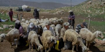 طالبان مهاجرلر وزیرلیگی تورکیه افغانستانلیک ۲۰ مینگ‌دن آرتیق کیشی‌گه ویزا بېریشینی اعلام قیلدی
