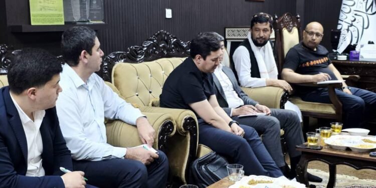 طالبان و اۉزبېکستان رسمیلری افغانستان‌گه اۉزبېکستان‌دن دارو آلیب کېلینیشی حقیده صحبت‌لشدی