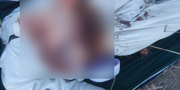 جنایی جرملر دوامی؛ قۉش‌تېپه کانالی‌نینگ تورکمن ایشلاوچیلریدن بیری اۉلدیریلدی