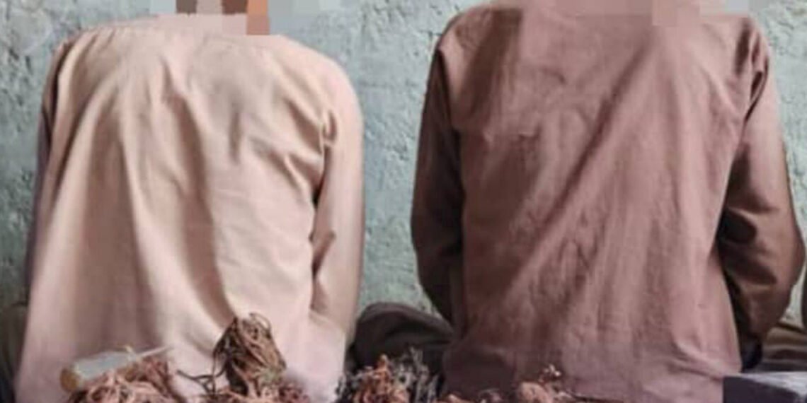 مملکت‌نینگ نېچه ولایتیده ایریم جنایتلرگه قۉلی بۉلگن 13 کیشی اوشلنگن