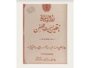 جنوبی تورکستاننی پشتونلشتیریش: سیاسی یۉق قیلیش جریانی، دېموگرافیک اۉزگریش و افغانستان تورکلری‌نینگ ایچکی مستملکه‌چیلیگی