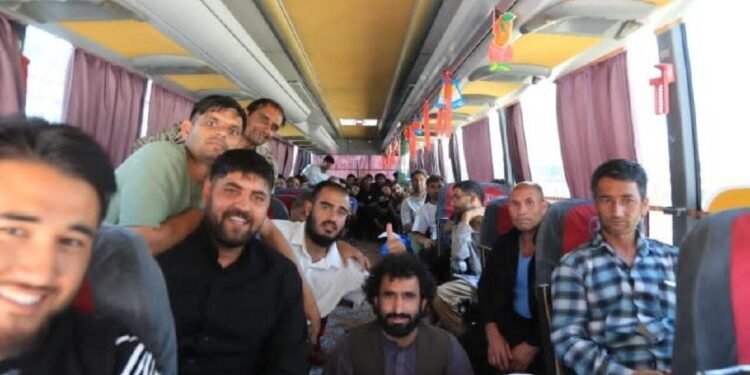 ایران‌دن۱۶۵ نفر محبوس افغانستان‌گه اۉتکزیلدی