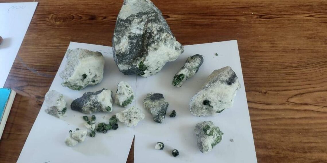 طالبلر پنجشیر کانلریدن توشگن درآمدنینگ۱۰ فایزینی خزنه‌گه اۉتکزدی