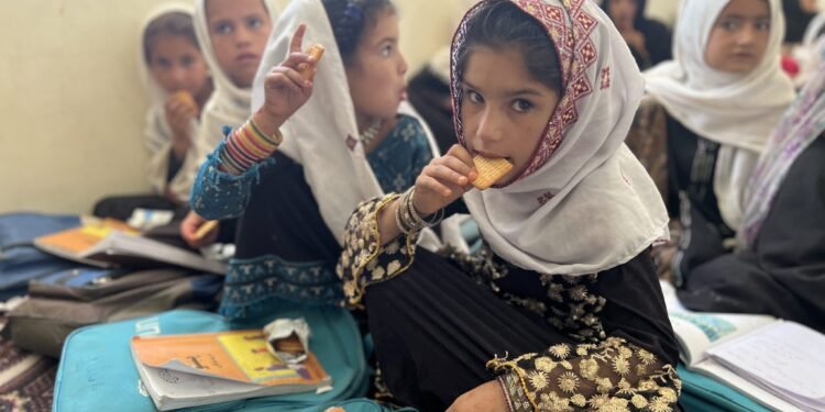 WFP: باییتیلگن بیسکویتلر کۉپلب باله‌لر اوچون کون‌نینگ اېنگ تۉییملی طعامیدیر