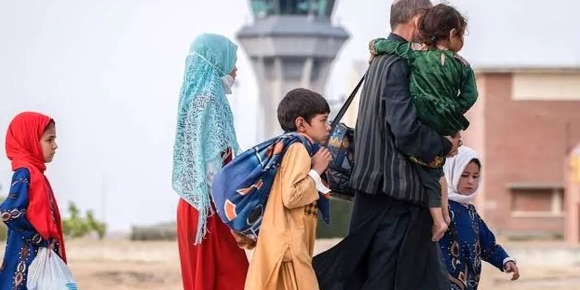 افغانستانگه مهاجرلر قیتریلیشی؛ اۉتگن کون هم ۷۲۴ عایله مملکتگه قیتیب کېلگن