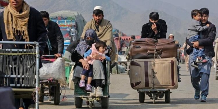 مهاجرلر قیتیشی دوامی؛ طالبان بیر کون ایچیده سکّیز مینگ‌گه یقین مهاجر قیتگنیدن خبر بېردی
