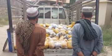 مخدره مادّهلر قاچاق اېتیلیشی؛ طالبان بدخشانده ۷۰۰ کیلوگرامدن آرتیق تریاک تاپیلگنینی اعلام قیلدی