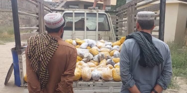 مخدره مادّهلر قاچاق اېتیلیشی؛ طالبان بدخشانده ۷۰۰ کیلوگرامدن آرتیق تریاک تاپیلگنینی اعلام قیلدی