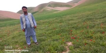 ناتینچلیکلر کۉپه‌یشی؛ اندخوی‌ده قوراللی شخص‌لر بیر ییگیت‌نی اویی‌گه اۉلدیریب کېتدی