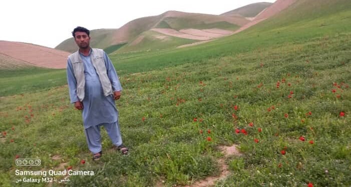 ناتینچلیکلر کۉپه‌یشی؛ اندخوی‌ده قوراللی شخص‌لر بیر ییگیت‌نی اویی‌گه اۉلدیریب کېتدی