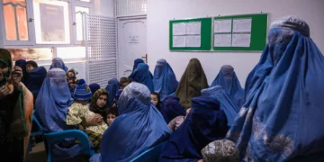 اوچا:۵.۷ میلیون باله و آنه اوچون آزیقلنتیریش دستورلری خوف آستیده
