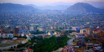 کابلده عاموې کسللیک؛ زهرلنگنلر دوالنیشی اوچون چاره کۉریلمهگن
