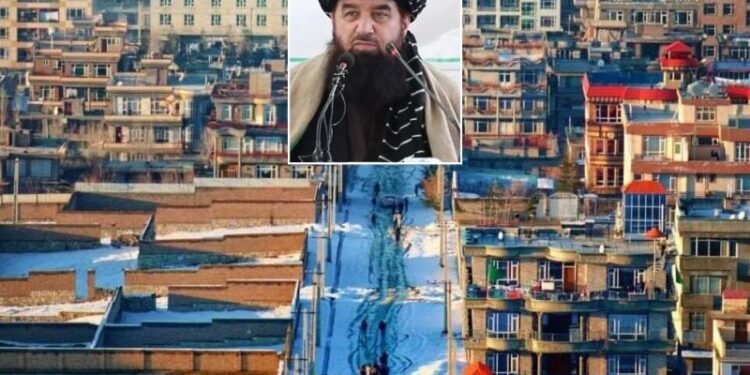 طالبان‌نینگ قومی حرکتلری دوامی؛ طالبان عدلیه وزیری و هزاره‌لر اۉرته‌سیده جنجللر کېسکین‌لشگن