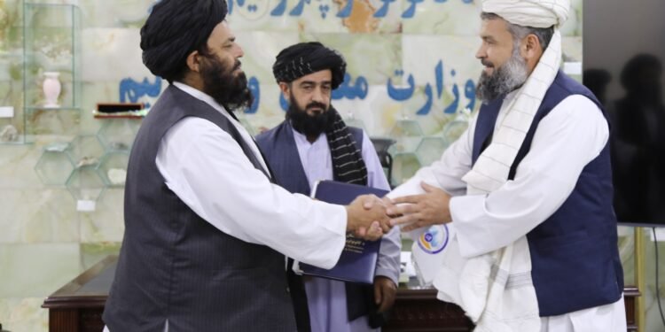 طالبلر کانلر وزیرلیگی فاریاب‌نینگ کۉمیر کانی ایشلب چیقریلیشی شرطنامه‌سینی امضالدی