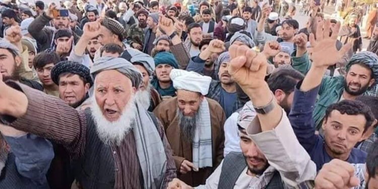 اۉزبېک تیلی بیلن ضدیت؛ طالبان اۉزبېک تیلینی تحمل قیلالمسلیگینی بیلدیرماقده