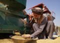اروپا اتفاقی افغانستانده اېکینچیلیک ساحه‌سی اوچون بېش میلیون یورولیک تشبثنی ایشگه‌ توشیردی
