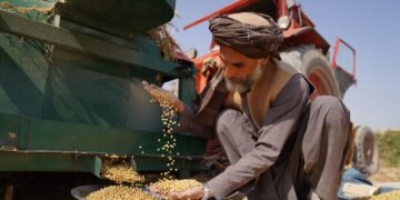اروپا اتفاقی افغانستانده اېکینچیلیک ساحه‌سی اوچون بېش میلیون یورولیک تشبثنی ایشگه‌ توشیردی
