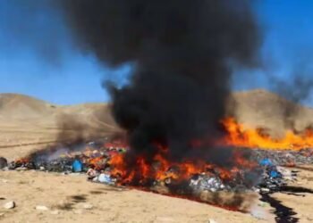 فراه‌ده ۱۰ تُن‌دن آرتیق گیاهوند مادّه‌ یاقیب یوباریلدی