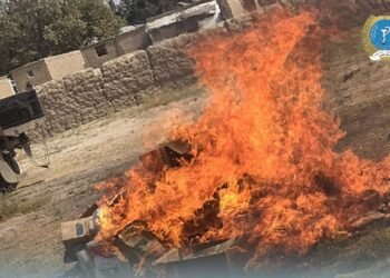 طالبان تخار ولایتده بیر تُن ایسکیرگن دارو و آزیق-آوقت محصولاتلرینی آلاو بېردی