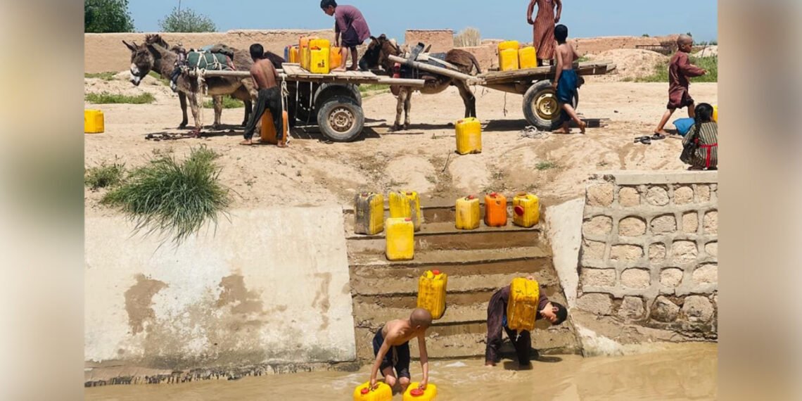 بیرلشگن ملتلر تشکیلاتی: افغانستان‌ده ایچیملیک سووی بحرانیدن آگاهلنتیردی