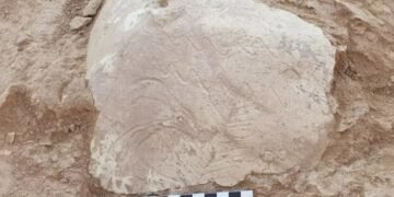 اۉبېکستانده ارکیالوگلر قدیمگی محراب و نایاب سویکداننی تاپدیلر