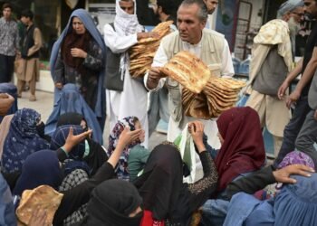 اوچا: میمنه شامل تورت تومن‌ده یاردم کۉرسه‌تیلیش جدی چېکلاولر بیلن دوچ